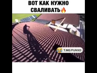 video by prikoldesy