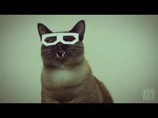 dubstep hipster cat skifcha